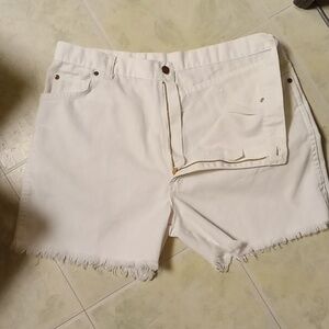 High Waist Shorts No Label New